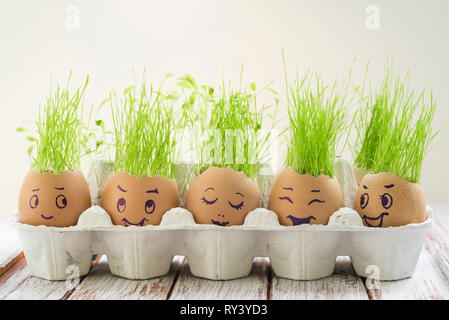 The fresh green grass growing in an egg shell with the funny persons drawn on it Stock Photo