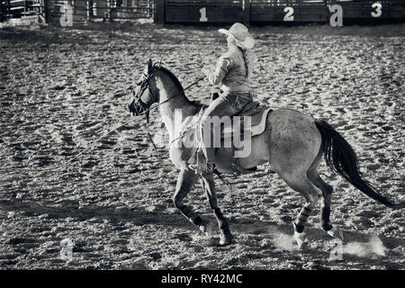 Rodeo scene in Utah, USA. Silhouette of a woman. Stock Photo