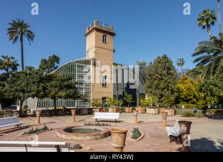 Valencia Botanical Garden Spain Valencia Gardens Stock Photo