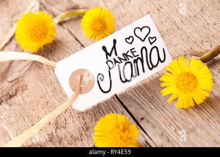 Label, Dandelion, Calligraphy Danke Mama Means Thank You Mom Stock Photo