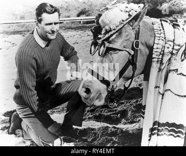 YOUNG,ED, MISTER ED, 1961 Stock Photo