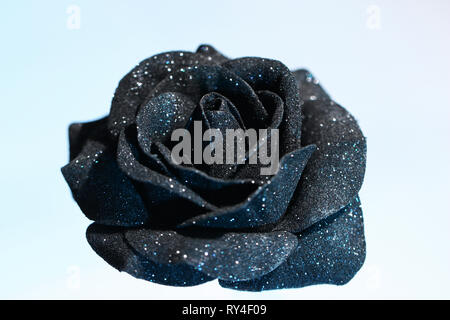 Black glitter rose isolated on white background Stock Photo - Alamy