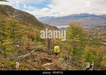 Trekking in a lenga (beech) forest, Patagonia National Park, Aysen, Patagonia, Chile Stock Photo