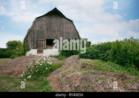 Alternate View Places Southern Ontario Amherstburg Dilapidated Abandoned Barn cloudy sky scene Stock Photo