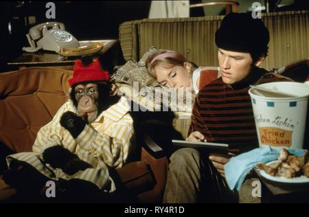 NORTH,RUSSELL,CHIMP, THE BAREFOOT EXECUTIVE, 1971 Stock Photo