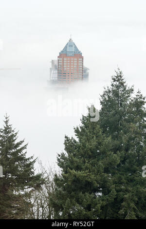Koin Tower in a sea of fog, Portland, Oregon. Stock Photo