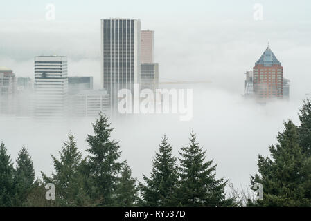 Downtown buildings in a sea of fog, Portland, Oregon. Stock Photo