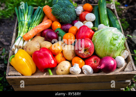 Fruit and veg in crate. A rustic vintage wooden crate filled with colourful fruit and vegetables promoting healthy fresh organic vegan food. Veganuary Stock Photo