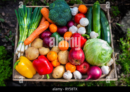 a vintage wooden crate filled with colourful fruit and vegetables promoting healthy fresh vegan food Stock Photo