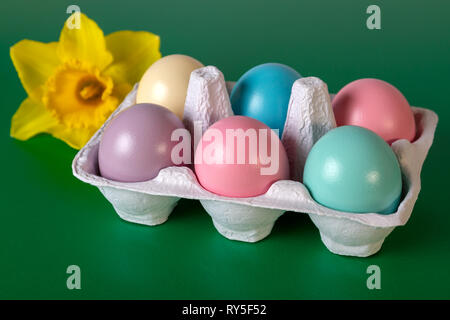 Close Painted Easter Eggs Yellow Flower On Green Selective Focus Foreground Stock Photo