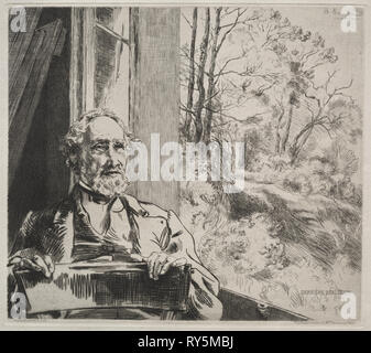 Meyer-Heine, c. 1872. Félix Bracquemond (French, 1833-1914), Alfred Cadart. Etching; sheet: 37 x 44.5 cm (14 9/16 x 17 1/2 in.); plate: 21.7 x 24.3 cm (8 9/16 x 9 9/16 in Stock Photo