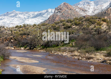 Sutherland Wash flowing after a winter storm, snow on the Santa Catalina Mountains in the distance, Catalina State Park, Tucson, Arizona Stock Photo