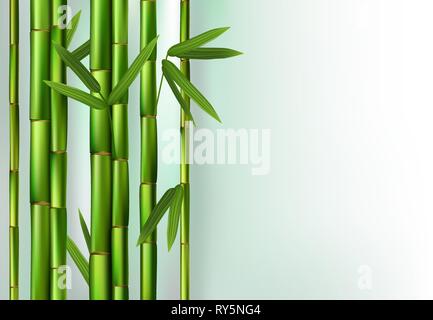 Green bamboo trunks background realistic vector illustration Stock Vector