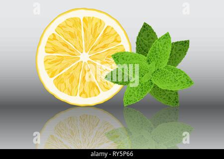 Lemon and mint reslistic vector illustration on grey background Stock Vector