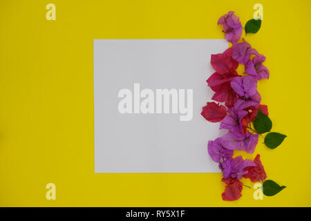 Empty white space for text or picture on yellow background and pink flowers Stock Photo