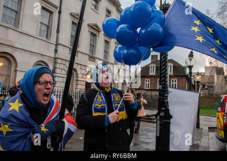 London, UK. 12th March, 2019. Leave means leave and SODEM, pro EU, protestors continue to make their points, side by side, outside Parliament as the crunch vote on Theresa May's plan is due this evening. Credit: Guy Bell/Alamy Live News Stock Photo