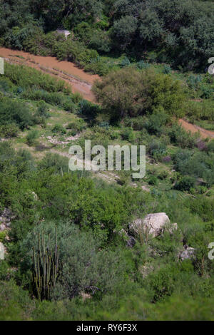 Rio Sonora, Mpo. Ures, Sonora, Mexico Stock Photo