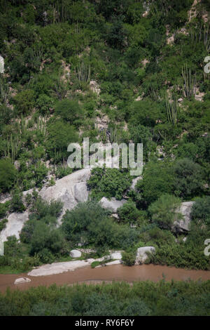 Rio Sonora, Mpo. Ures, Sonora, Mexico Stock Photo