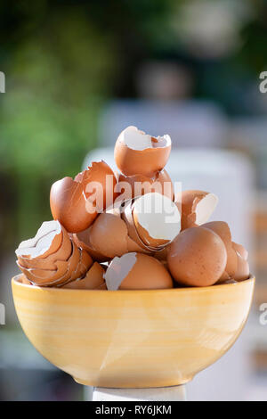 Close-up of broken eggshells in wooden bowl on table Stock Photo