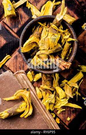 Barberry root.Dried herbs for use in alternative medicine.Natural herbs medicine Stock Photo