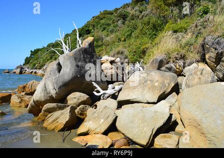 Beauties at the Golden Bay in New Zealand Stock Photo
