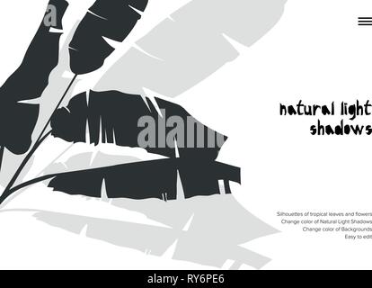 Abstract banner with black tropical leaves shadow isolated on white background. Vintage style Presentation template Stock Vector
