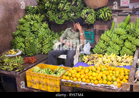 Indian Fruit Vendor stressed while checking cellphone - Varanasi, Uttar Pradesh - India Stock Photo