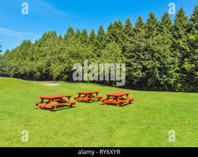 Rest area with red picnic tables on green lawn in a park. Stock Photo