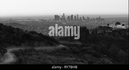 Green trees dominate the foreground with the city skyline of Los Angeles in the background Stock Photo