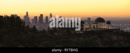 Green trees dominate the foreground with the city skyline of Los Angeles in the background Stock Photo