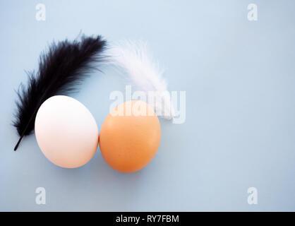 Two different colored eggs with black and white feathers on a pastel blue background Stock Photo
