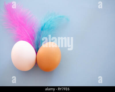 Two different colored eggs with pink and blue feathers on a pastel blue background Stock Photo