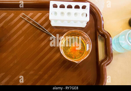 Molecular gastronomy dessert, orange pearls, molecular cuisine Stock Photo