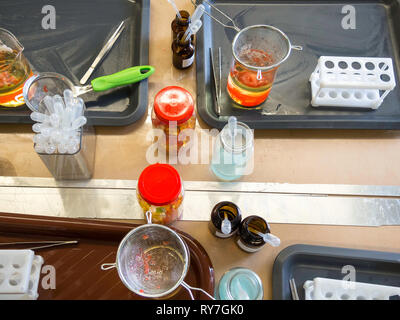 Molecular gastronomy dessert, orange pearls, molecular cuisine Stock Photo