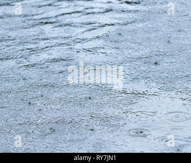 Raindrops falling on the waters of the River Fowey at Lostwithiel during Storm Gareth. Slight blue tint added to otherwise drab grey flood water. Stock Photo