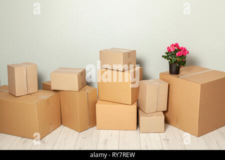 Moving Day. Cardboard boxes and pot with plants against gray wall Stock Photo