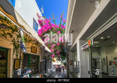 A colorful, narrow street with souvenir shops and pink bloomed bougainvillea flowers overhead, in the tourist center of Santorini Greece. Stock Photo