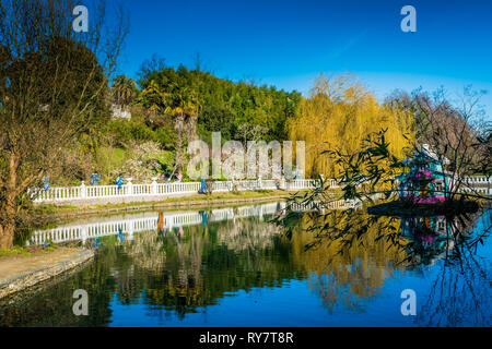 pond in a park Stock Photo