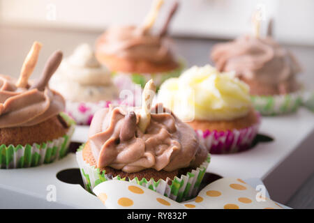 Cupcake packaging, delivery box, vanilla cupcakes, chocolate and white cream close up Stock Photo