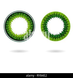 Two circle frames with inner leaves isolated on white background Stock Vector