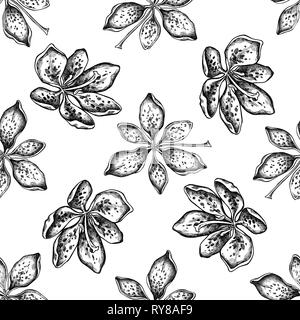 Seamless pattern with black and white blackberry lily Stock Vector