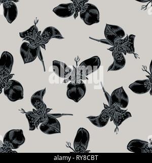 Seamless pattern with hand drawn stylized tigridia Stock Vector