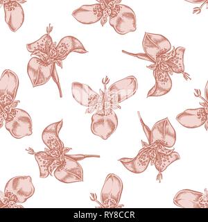 Seamless pattern with hand drawn pastel tigridia Stock Vector
