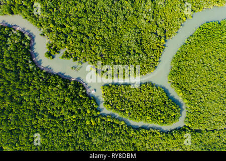 View from above, stunning aerial view of a river flowing through a green tropical forest, it discharges into the Andaman sea. Stock Photo