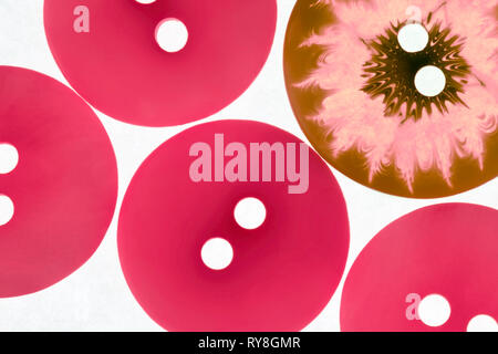 close up of round buttons in the pantone colour of the year - living coral Stock Photo