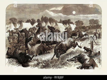 Stampede of Cavalry Horses at Aldershott Camp 1871 Stock Photo