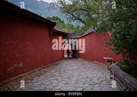 Chinese monk walking in in buddhist temple, temple, Wutai Shan, Shanxi, China Stock Photo