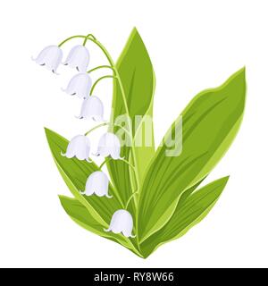 Lily of the valley, spring bouquet of delicate flower, vector illustration. White buds forest flowers bluebells, green stalks and leaves isolated on w Stock Vector