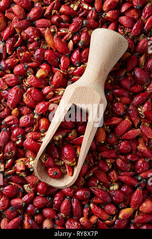 Dried rose hip (close-up with wooden scoop) Stock Photo