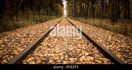 Old railway made for steam powered locomotives. Tracks covered with leaves in the autumn. Stock Photo